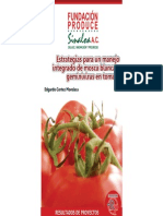 Estrategias para Un Manejo Integrado de Mosca Blanca y Geminivirus en Tomate