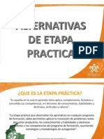 Alternativas Etapa Practiva