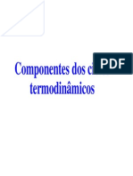 COMPONENTES CICLOS_TERMO