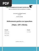 Melhoramento Genético