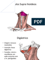 apresentacaoAnato