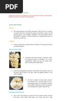 Download Banana Cultivation by shashankdatey SN22696737 doc pdf