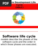 Download SDLC by PRAO6005 SN22699796 doc pdf