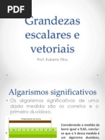 2 - Grandezas Escalares e Vetoriais (Roberto)