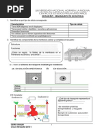 Biologia Sem2 2010-i