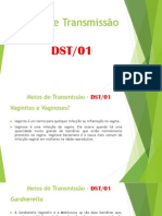 Meios de Transmissão Dst01 b