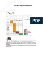 Clasificación de Tejidos Precolombinos