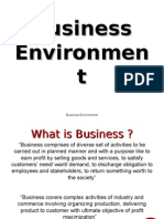 Business Environment