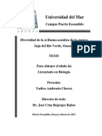 Diversidad+de+la+avifauna+acuática+de+la+cuenca+baja+del+Río.unlocked