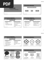 Slides 4 - COMPETÊNCIAS DE LIDERANÇA