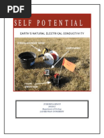 Pratical Magnetotellurics | PDF | Magnetosphere | Solar Wind