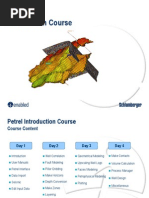 C01 Intro To Petrel 2004