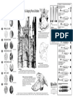 Instruction Chart 10: Drawing, Artist & Mapping Points & Holders