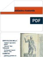 Neralidades Anatomía