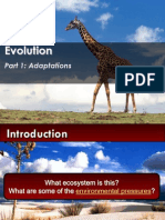 2 m3 Evolution - Adapt Darwin Galapagos - de New