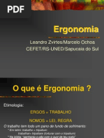 Ergonomia Leandro Zvirtes