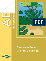 ABC Da Caatinga