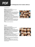 Hungarian Walnut Varieties