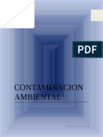 Contaminacion Ambiental