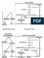 A Historia Natural de La Enfermedad