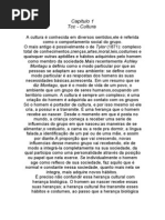 TCC - Cultura - Beatriz Silveira 9ºano