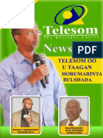 Telesom Newsletter Issue 18 - Dec 2013