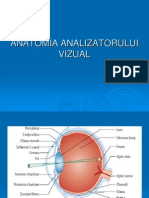 Curs 1 Anatomia Analizatorului Vizual