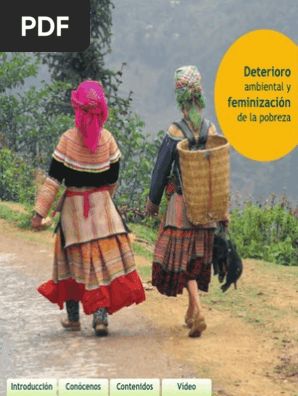 Feminizacion de La Pobreza Feminizacion de La Pobreza