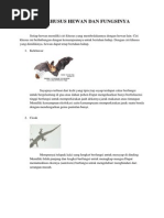 Download Ciri Khusus Hewan Dan Fungsinya by MuhammadRifqiAndikasani SN227168385 doc pdf