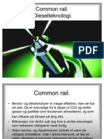 49764664-Common-Rail-Nr1.pdf