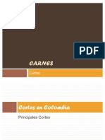 38105629-Carnes.pdf