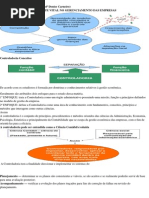 Controladoria- RESUMO