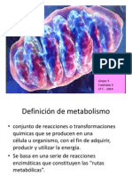 Metabolismo y Respiración