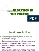 10-Translocation in The Phloem