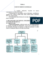 Organizarea Secţiilor, Atelierelor, Locurilor de Munca