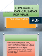 derm virus 2012 2013  (2)