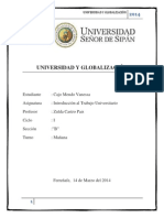 Universidad y Globalización Monografia