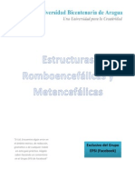 Estructuras Romboencefálicas y Metencefálicas