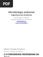 Diversidade Microbiana e Metabolica