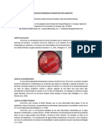 Salmonelosis Enfermedad Transmitida Por Alimentos FINAL[1]