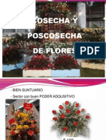 Poscosecha Flores