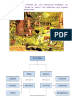 1.4 Importancia de La Conservacion de Lo Ecosistemas Ciclos Biogeoqumicos