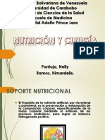 Nutrición parenteral central: cálculo requerimientos nutricionales