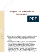 Adaptarea La Temperatura a Animalelor