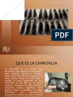 Proyecto Chinchilla 1