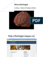 Curs Prezentare Neuro Psihologie