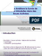 La Famine Améliore La Survie Des Bactéries Introduites Dans Des Boues Activées