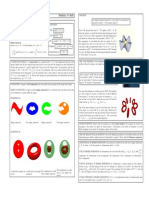 Stokes Theorem Math Guide