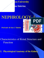 Renal Structure and Function