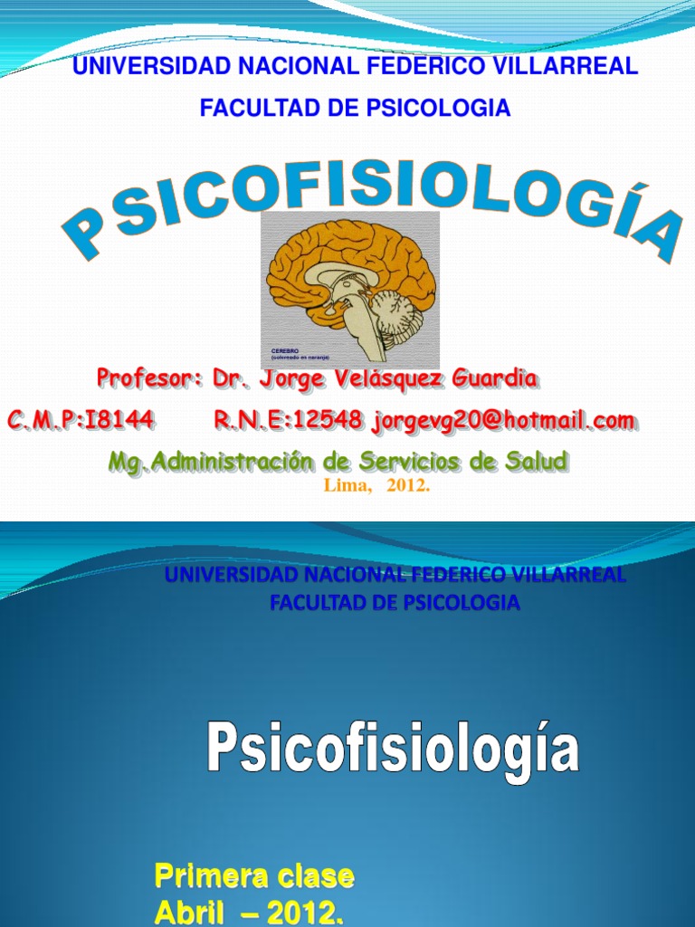 Estructura Del Sistema Nervioso Psique (psicología